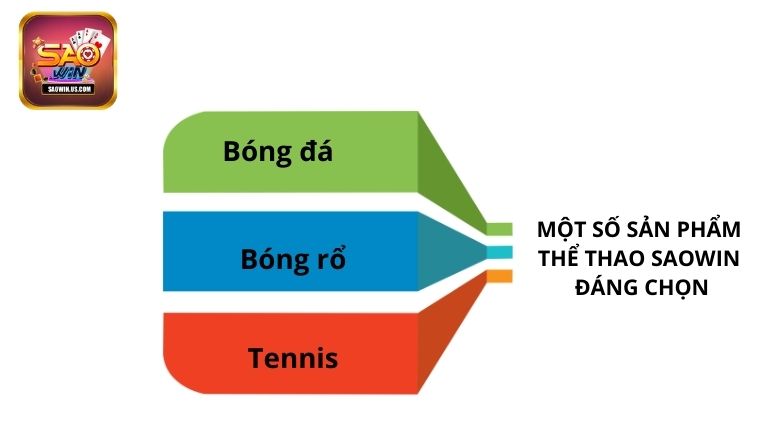 Một số sản phẩm thể thao Saowin đáng chọn