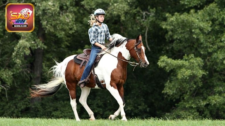 Ý nghĩa giấc mơ thấy ngựa